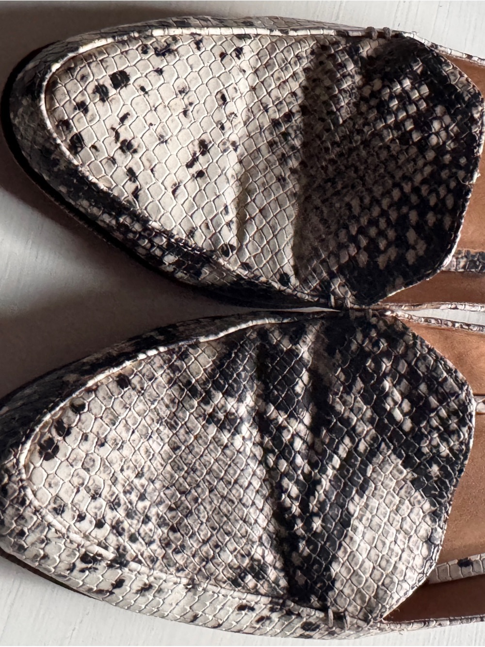 Madden Girl Black & Tan Snake-Print Slide Pointed Toe Low Heel mules Sz 7.5 - Picture 9 of 10